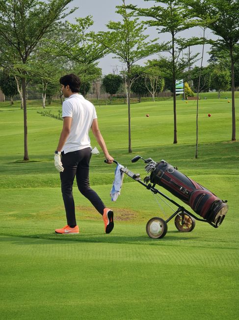 旅行者锦标赛科尔领先首轮 舍夫勒菲茨帕特里克T2